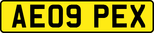AE09PEX