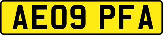 AE09PFA