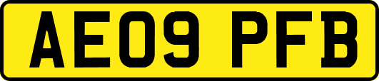 AE09PFB