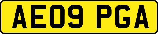 AE09PGA