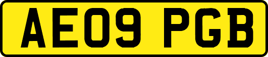 AE09PGB
