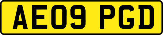 AE09PGD