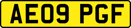 AE09PGF