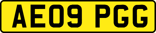 AE09PGG