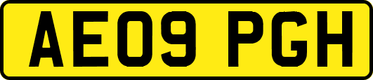AE09PGH