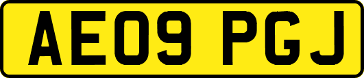 AE09PGJ