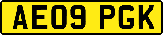 AE09PGK
