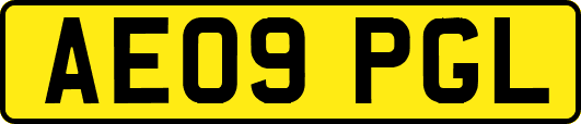 AE09PGL