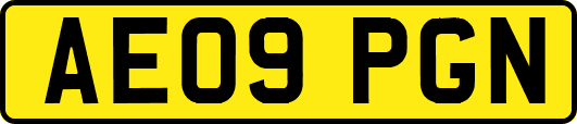 AE09PGN