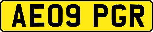 AE09PGR