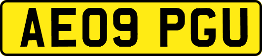 AE09PGU