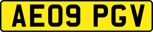 AE09PGV