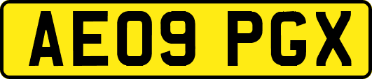 AE09PGX