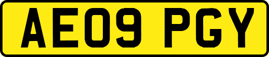 AE09PGY