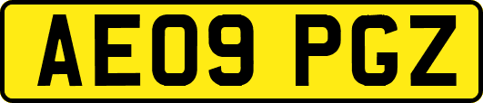 AE09PGZ