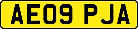 AE09PJA