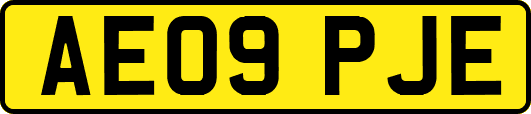 AE09PJE