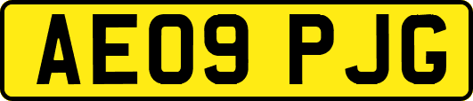 AE09PJG