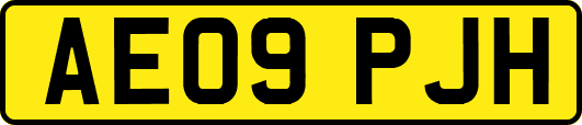 AE09PJH