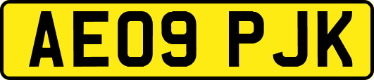 AE09PJK