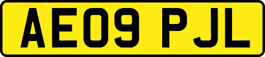 AE09PJL