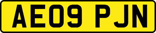 AE09PJN