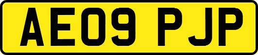 AE09PJP