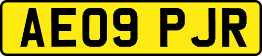 AE09PJR