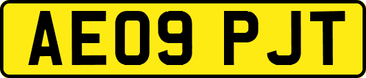 AE09PJT