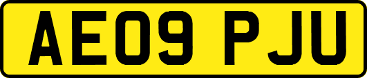 AE09PJU