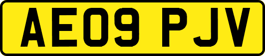 AE09PJV