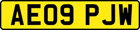 AE09PJW
