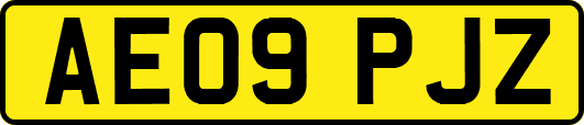 AE09PJZ