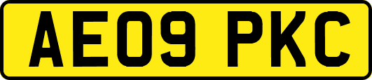 AE09PKC