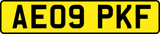 AE09PKF