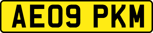 AE09PKM