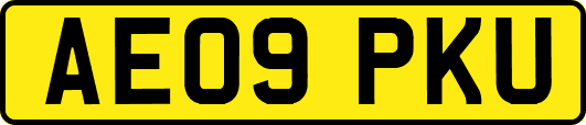 AE09PKU