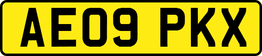 AE09PKX