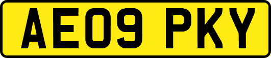 AE09PKY