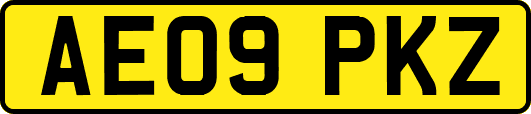 AE09PKZ