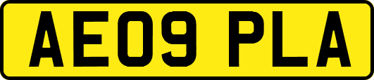 AE09PLA
