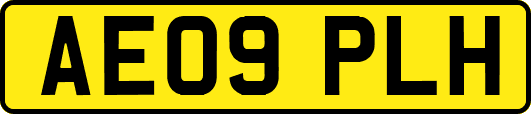 AE09PLH
