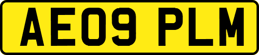 AE09PLM