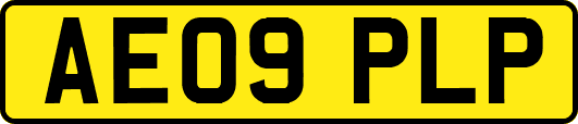 AE09PLP