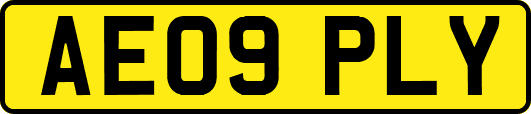AE09PLY