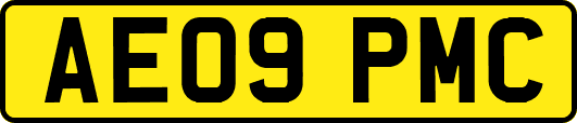 AE09PMC