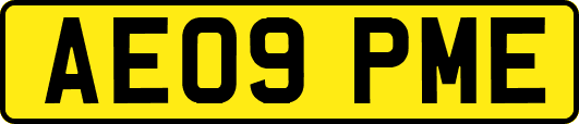 AE09PME