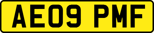 AE09PMF