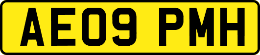 AE09PMH