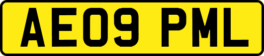 AE09PML